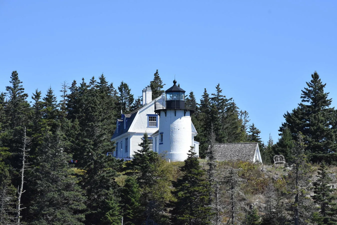 The Bear Island Lighthouse and the trees surrounding it.