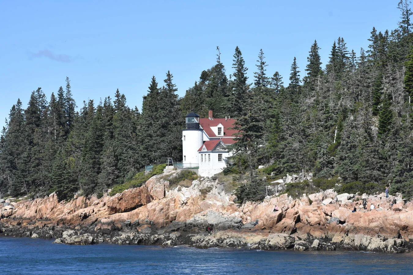 The Bass Harbor Headlight and its surrounding landscape (trees, rocky cliff, and ocean).