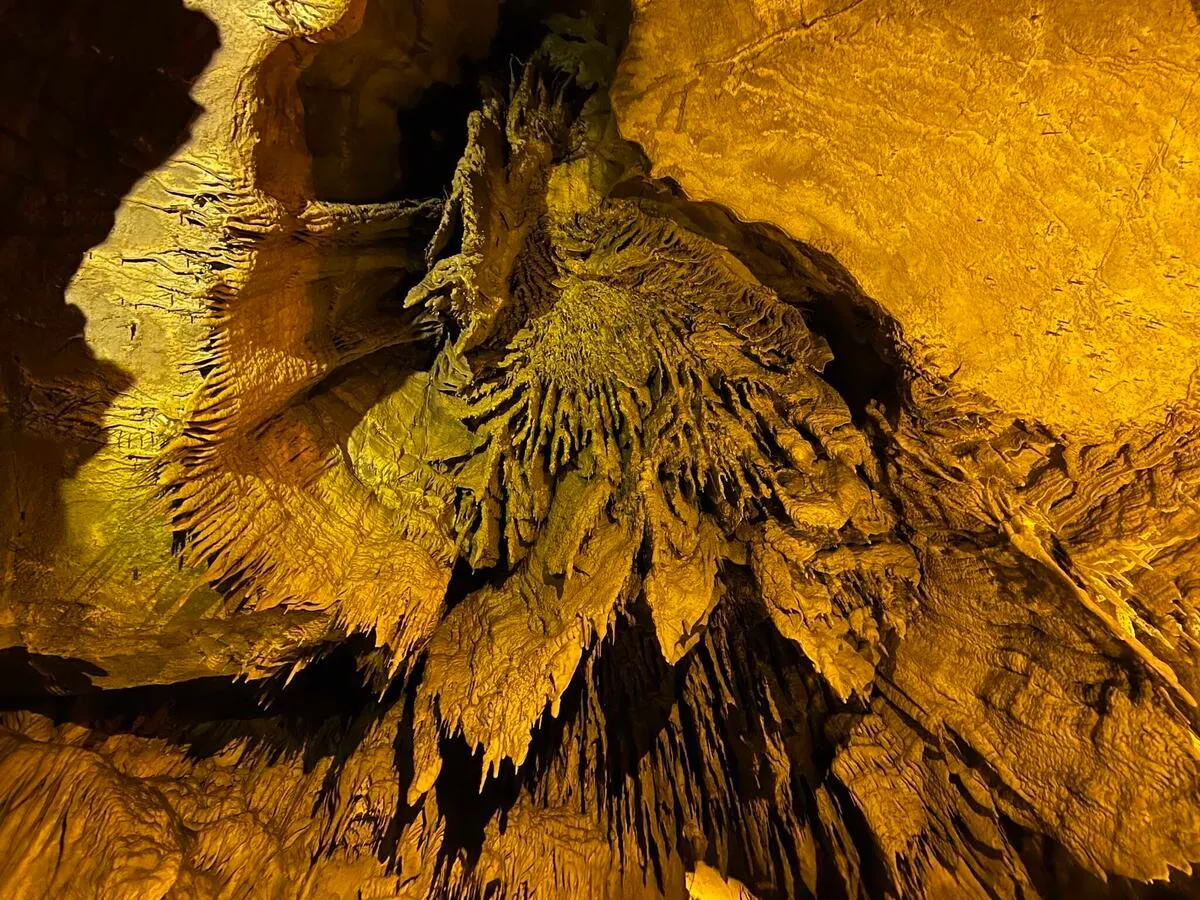 Mammoth Cave's "Frozen Niagra", a dramatic dripstone formation on the ceiling of the cave.