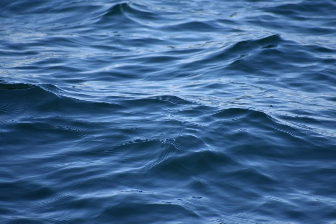 Gently rippling ocean waves.